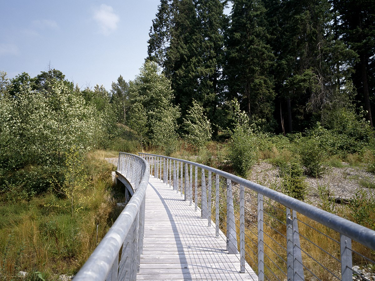 Bridge